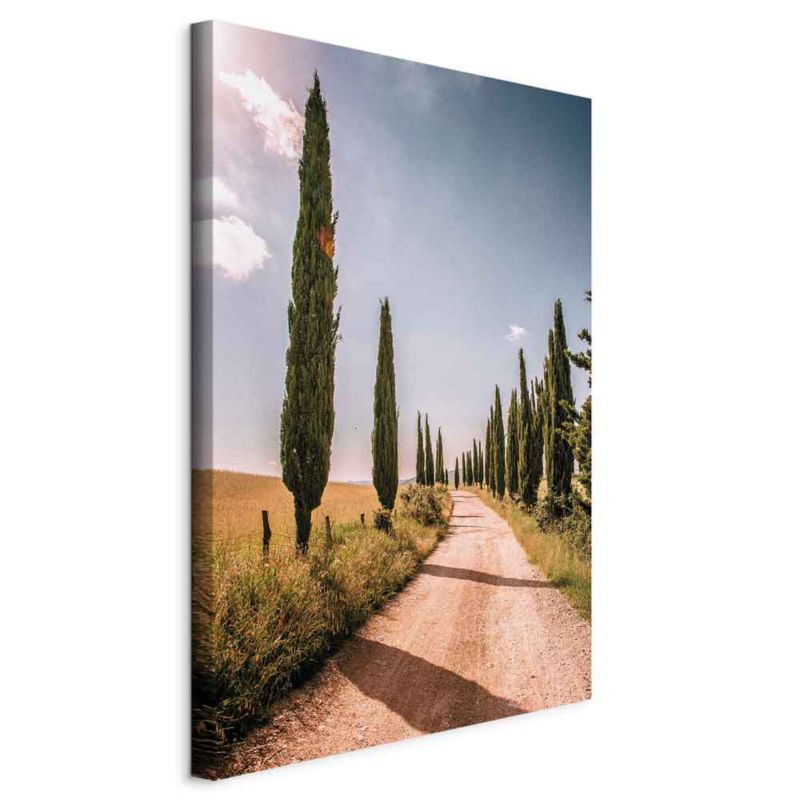 Obraz Artgeist Włoskie cypry 40 x 60 cm płótno włoskie 1 szt