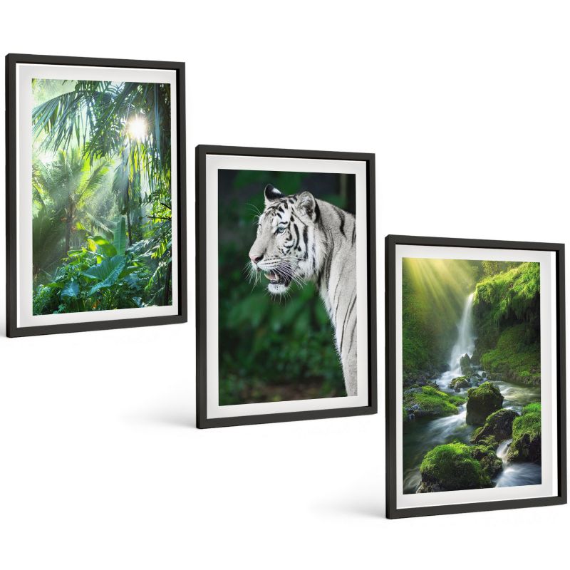 Galeria 3 Obrazów w Czarnej Ramie ArtPrintCave 40x60 cm Komplet ścienny Dżungla tygrys wodospad 1 kpl.