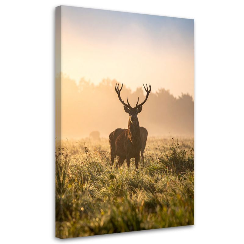 Obraz do salonu sypialni biura Feeby Pejzaż Jeleń na rykowisku o poranku 80x120cm 1szt