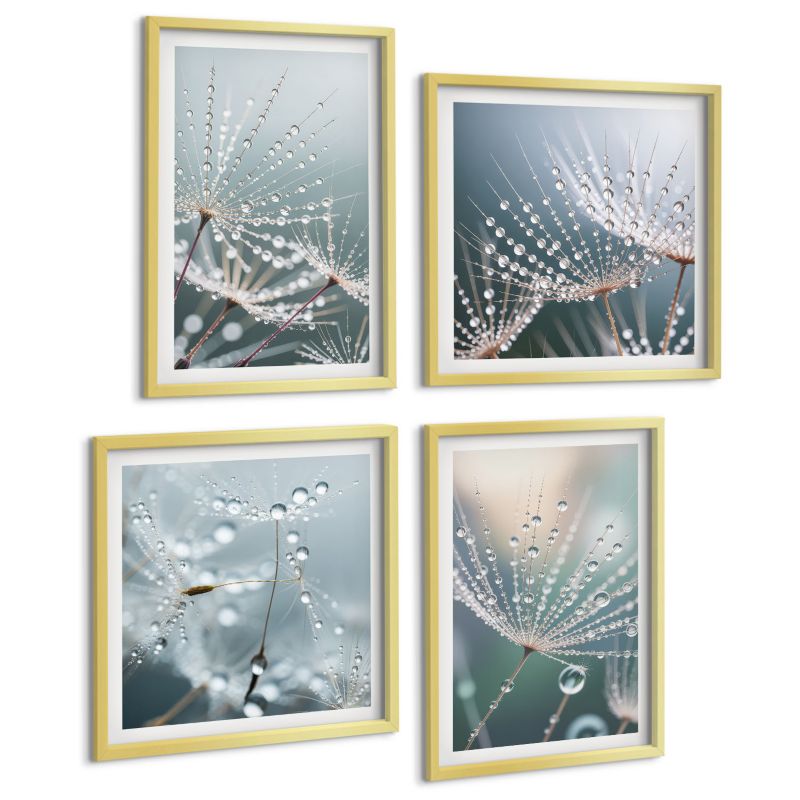 Zestaw 4 Obrazów ArtPrintCave (2x50x50+2x40x60cm) Złota rama Krople wody na pędach dmuchawców 1 kpl.