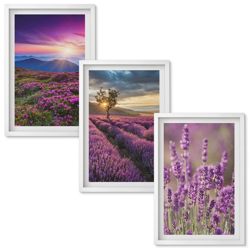 Zestaw obrazów Wallfluent Lawendowe pola zachód słońca Biała rama 40x60 cm 3 szt.