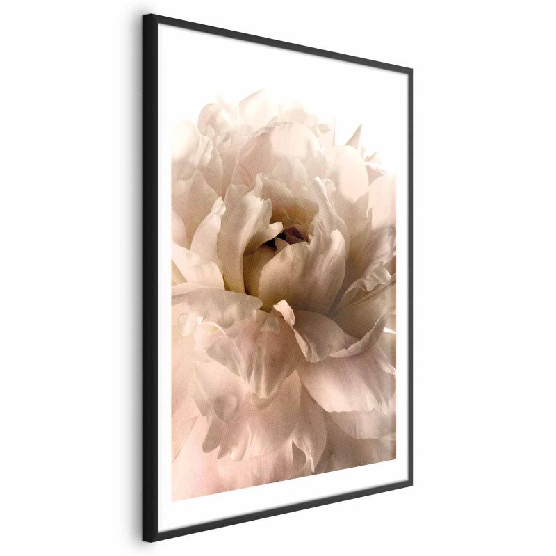 Plakat Artgeist Miękkie płatki 60x90 cm z ramą czarną 1 szt