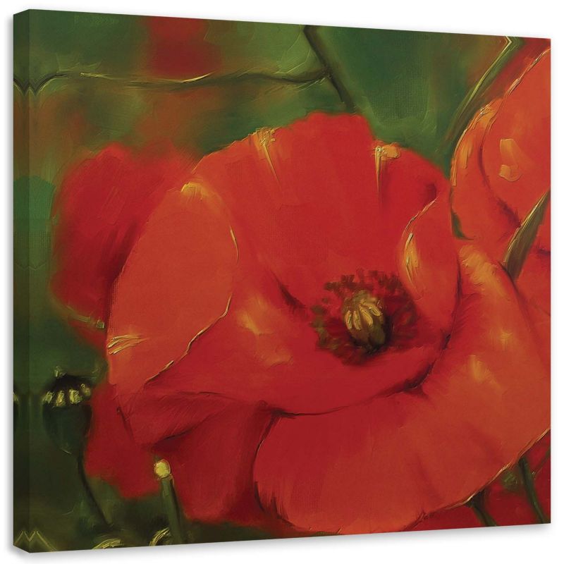 Obraz na płótnie Feeby Czerwony mak na łące 20x20cm 1szt