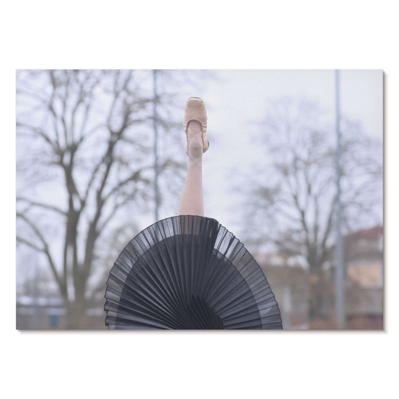 Plakat na Płótnie Tulup 42x29,7 cm (A3) Elegancki balet Do salonu, sypialni, biura 1 szt.