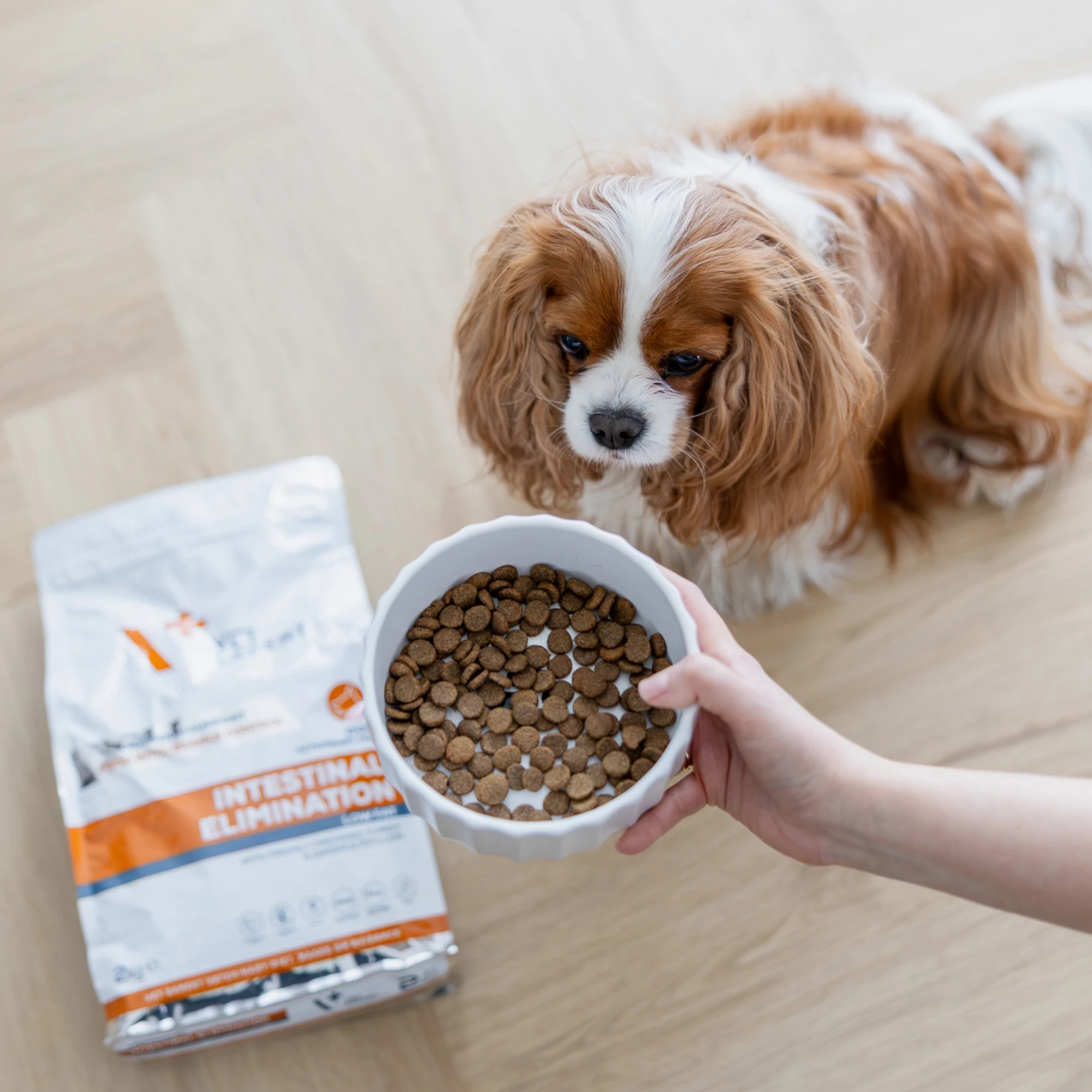 VET EXPERT INTESTINAL ELIMINATION DOG | Sucha karma weterynaryjna | Dla psów