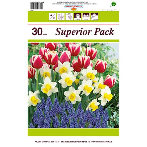Ofertă specială! Lalele, Narcise si Muscari, set de 30 de bulbi - Bulbi: Mod de ambalare: 30 buc