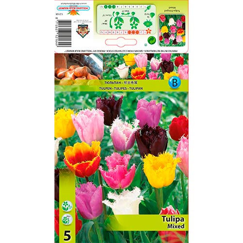5 kus, Tulipán Třásněný, mix - : Monžstvo balíkov: 5 kus