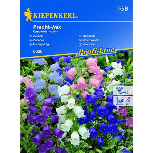 1 szt, Marienglockenblume Prachtmischung - Samen: Ilość w opakowaniu: 1 Stück