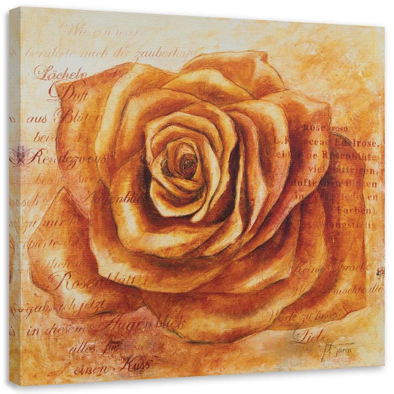 Obraz na płótnie Feeby Pomarańczowa główka róży 30x30cm 1szt