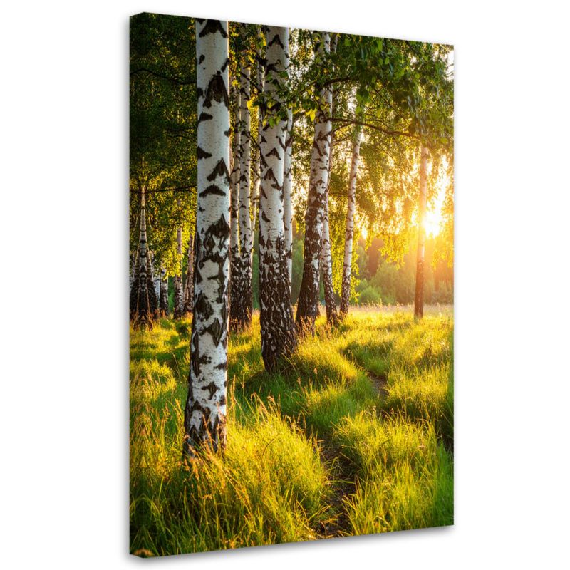 Obraz do salonu sypialni biura Feeby Brzozowy las natura pejzaż 80x120cm 1szt