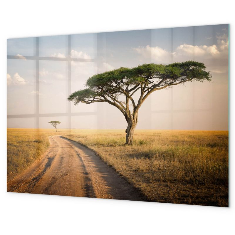 Tablica Magnetyczna Tulup 90x60 cm Krajobraz afryki Ozdobna, nowoczesna 1 kpl