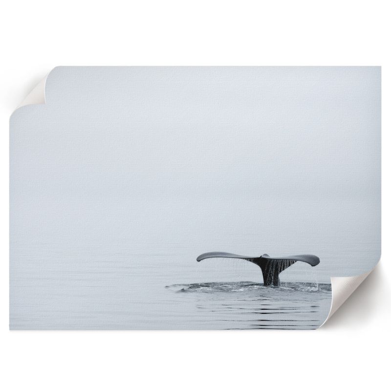 Plakat Dekoracyjny ArtPrintCave 84x59,5 cm Oceaniczny spokój Sage 1 szt.