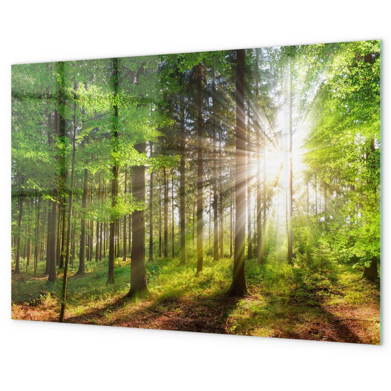 Tablica Magnetyczna Do Kuchni Tulup 60x40 cm Las wschód słońca Na notatki i zdjęcia 1 kpl