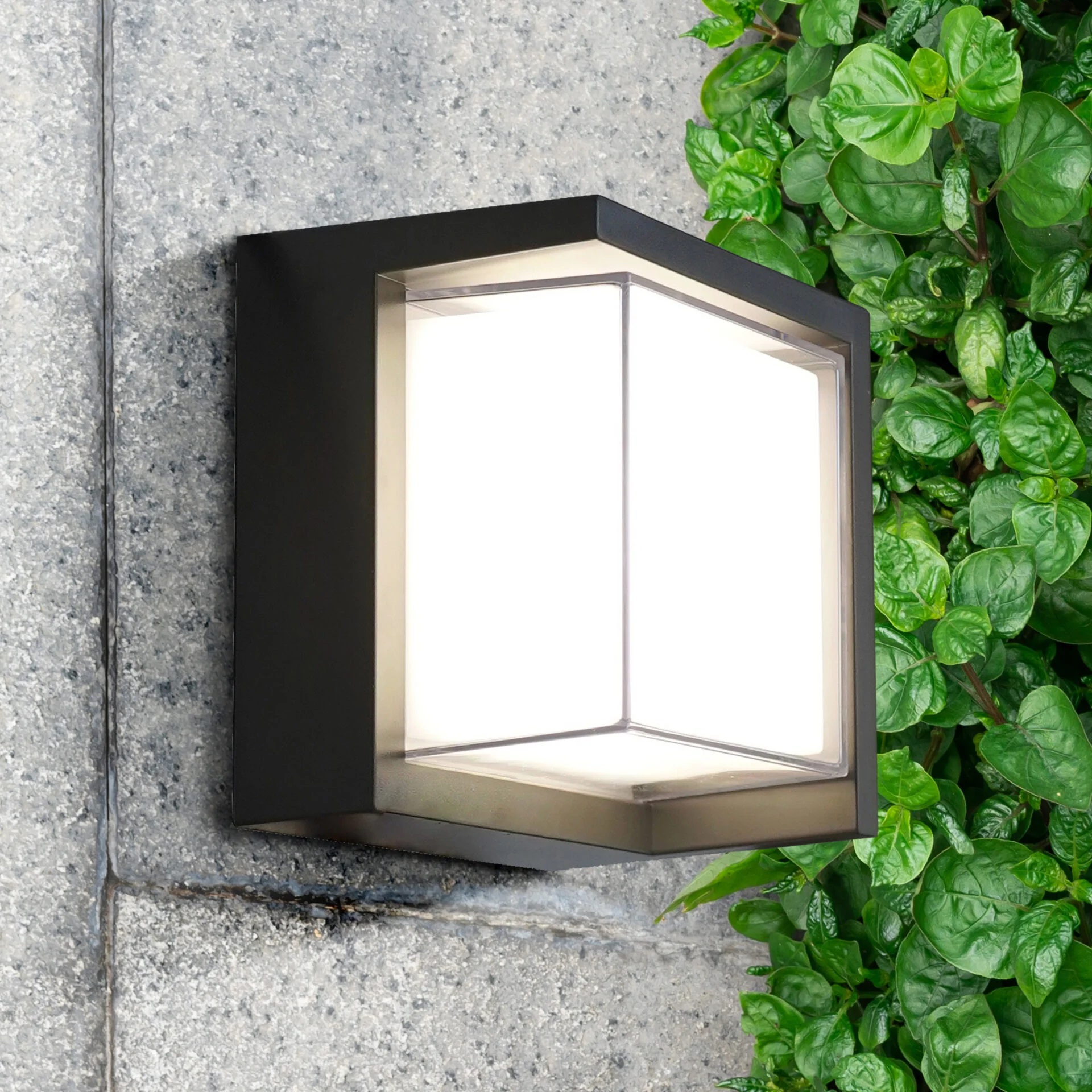 Goldlux Essen kinkiet zewnętrzny 1x12 W czarny 330963