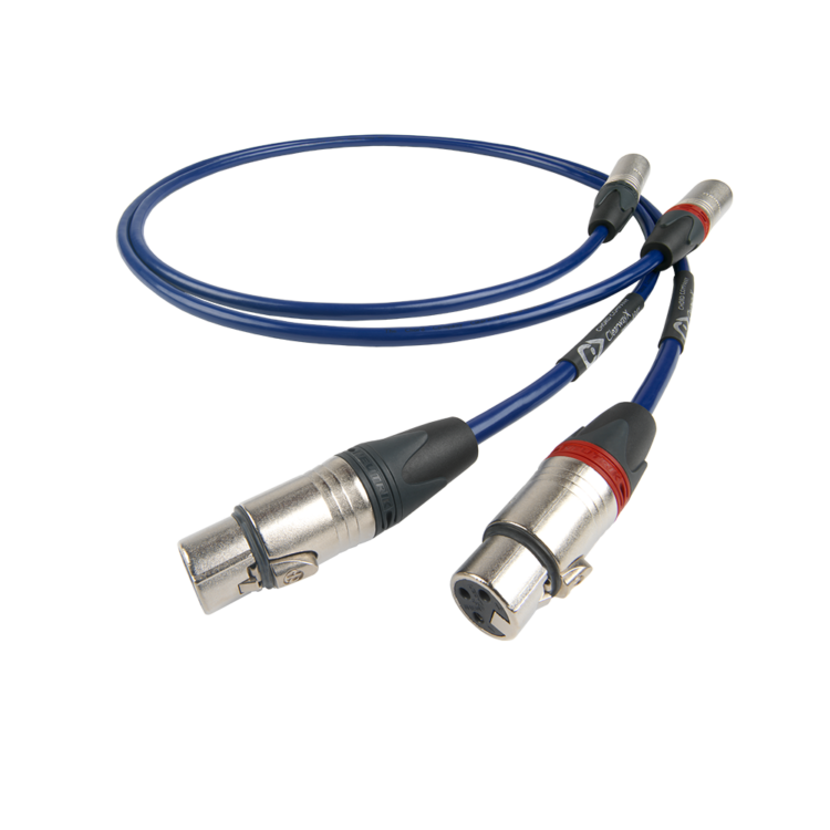 Chord clearway xlr zbalansowany