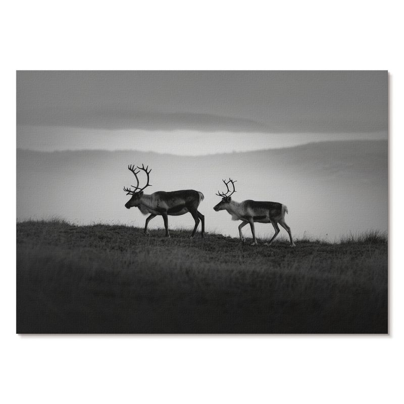 Obraz Plakat Canvas Tulup 59,4x42 cm (A2) Renifery natura Do salonu, biura, sypialni 1 szt.