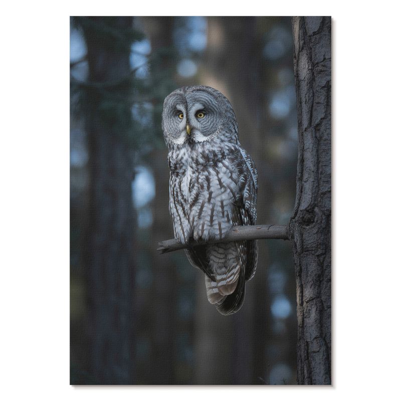 Plakat na Płótnie Tulup 42x59,4 cm (A2) Sowa nocą Do biura, salonu, sypialni 1 szt.
