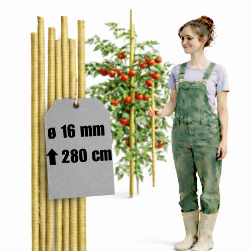 Tyczki kompozytowe do roślin fi 16 mm dł. 280 cm