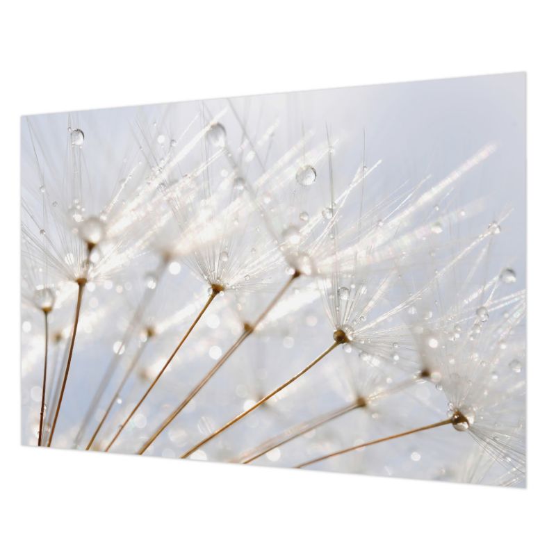 Dekoracyjna Tapeta Do Salonu Tulup 208x146 cm Rosy Dmuchawiec Do Sypialni, Do Salonu, Do Łazienki 1 szt.