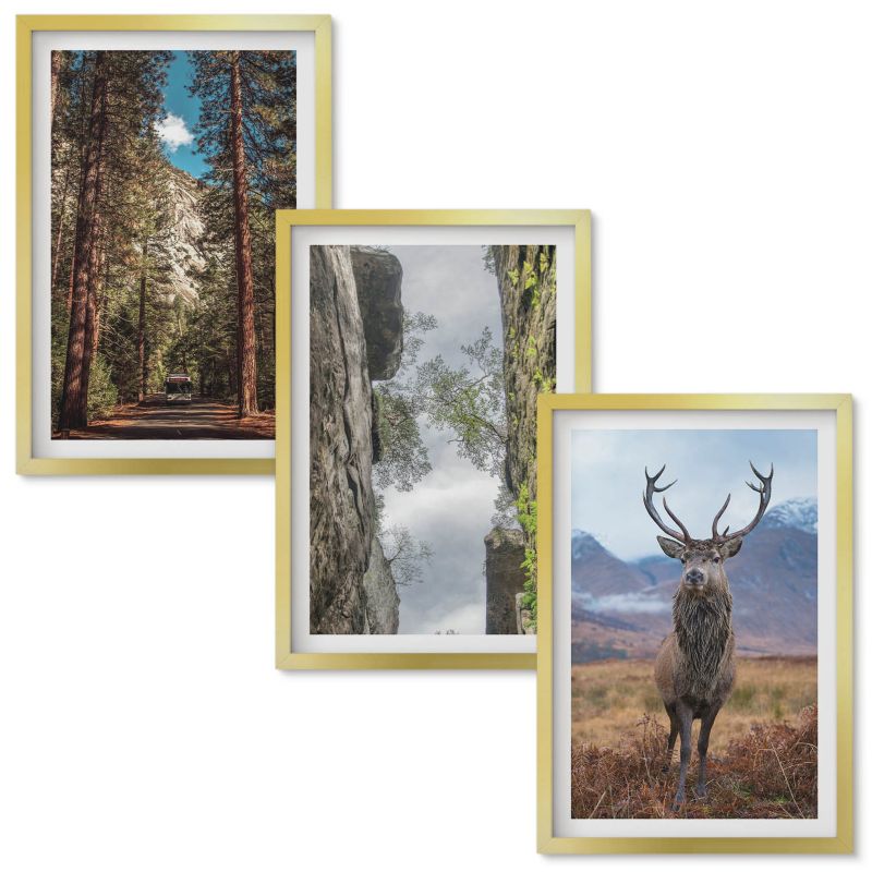 Obraz Ścienny Zestaw Wallfluent Droga las góry jeleń natura Złota rama 40x60 cm 3 szt.