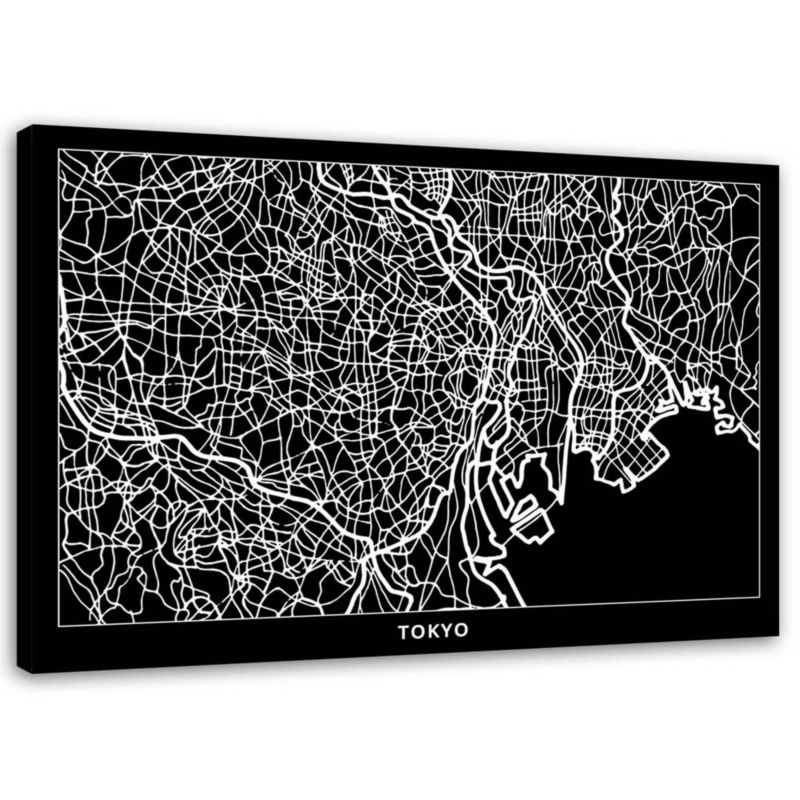 Obraz na płótnie Feeby Tokio - plan miasta 90x60cm 1szt