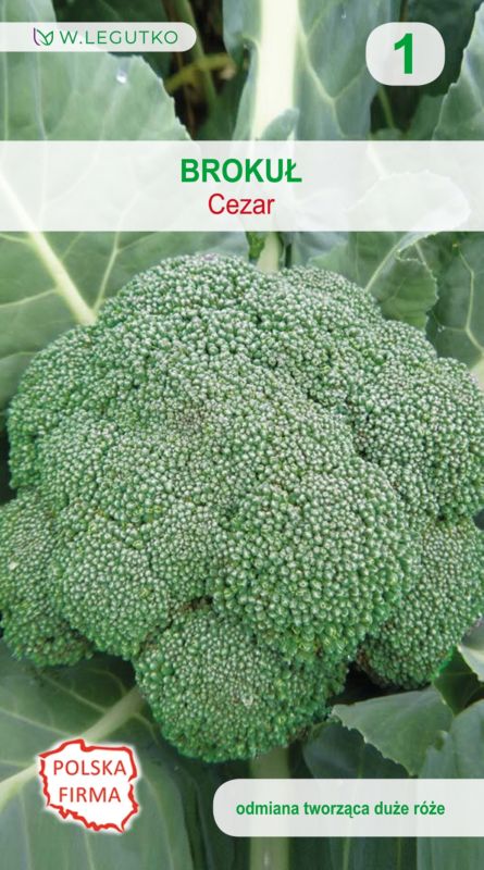 Nasiona brokuł Cezar