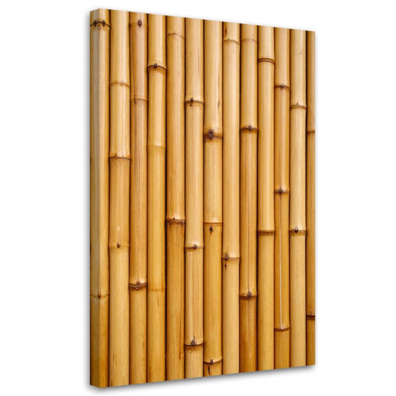 Obraz do salonu biura kuchni Feeby Bambus roślina natura 70x100cm 1szt