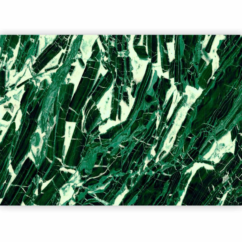 Fototapeta flizelinowa Artgeist 110g/m2 Tła i desenie zielona 450x315 (9 części) 10007aa rolka 1 szt