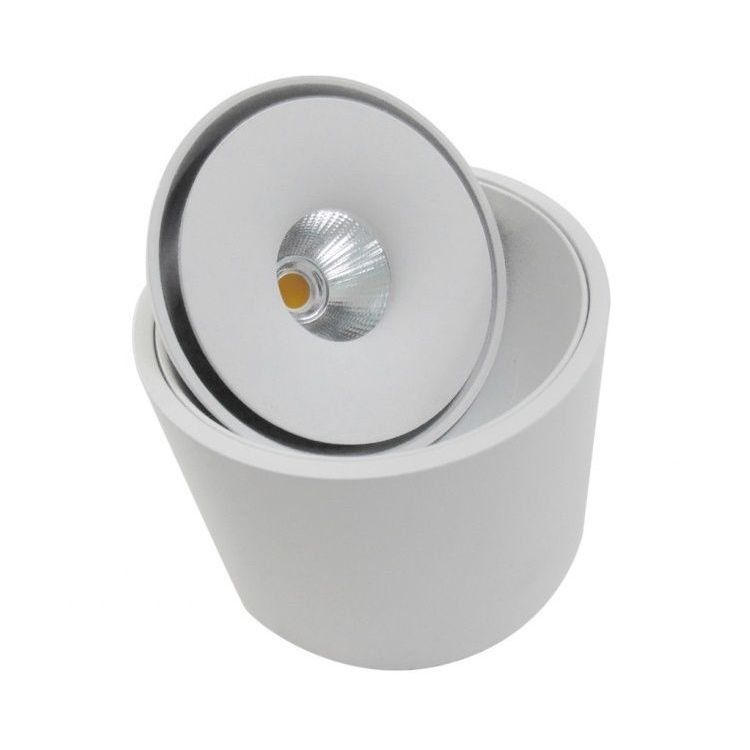 Oprawa natynkowa spot LED 10W BOSTON TUBE AZ3469 Azzardo 1 szt.