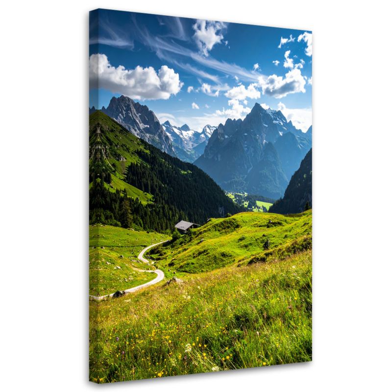 Obraz do salonu sypialni biura Feeby Krajobraz góry doliny natura 80x120cm 1szt