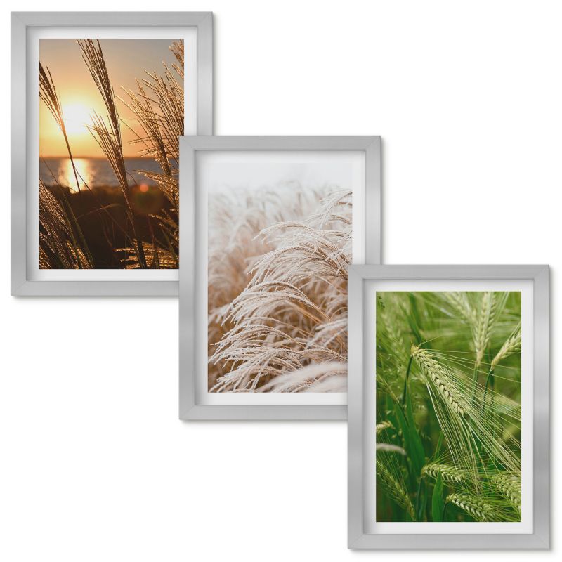 Obrazy Do Sypialni Wallfluent Trawy kolorowa natura Srebrna rama 20x30cm 3 szt.