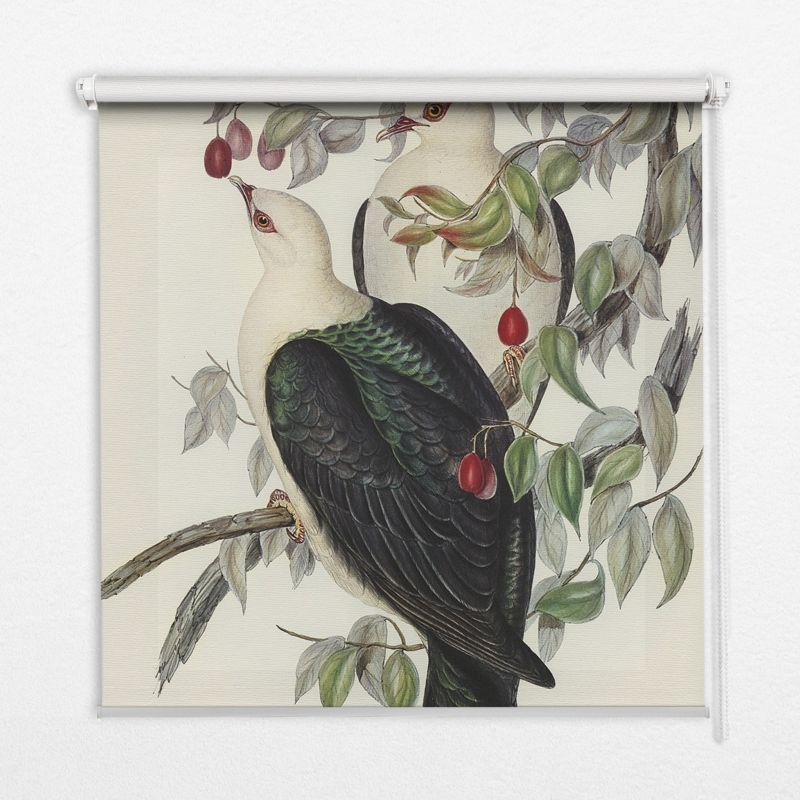 Roleta Do Okien Tulup 120x140 cm Ptaki Na Gałęzi Montaż do ściany/sufitu 1 szt.