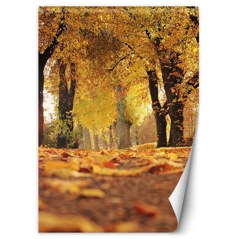 Fototapeta Feeby Złota jesień w parku 150x210 1 szt