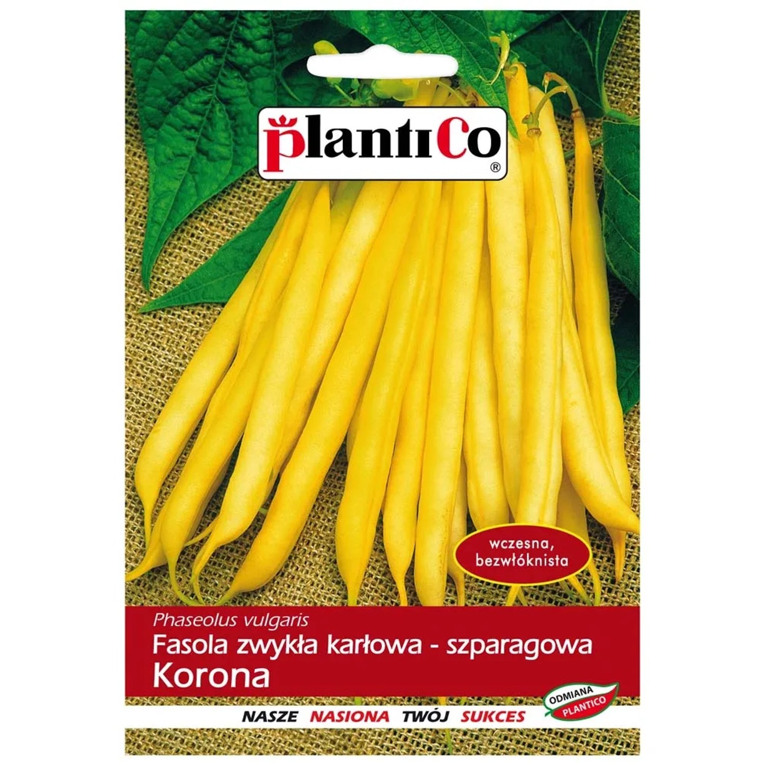 Fasola szparagowa karłowa żółta Korona