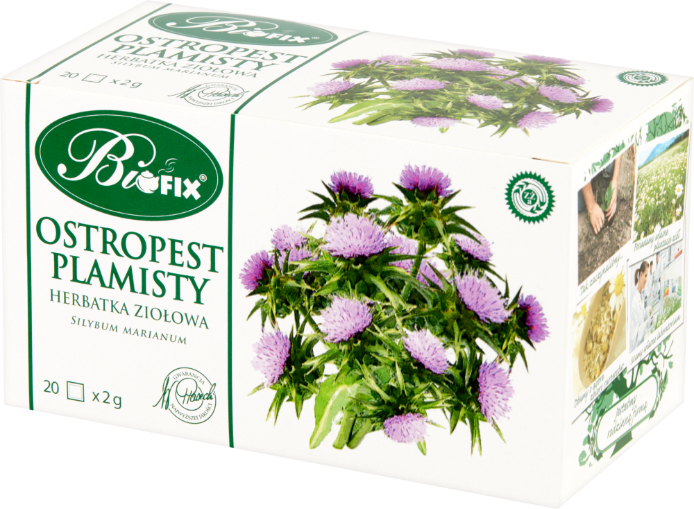 Herbata ziołowa w torebkach BiFix, ostropest plamisty, 20 sztuk x 2g