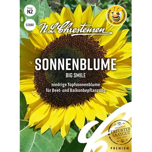 1 pac, Floare soarelui decorativă Big Smile - Semințe: Mod de ambalare: 1 pac