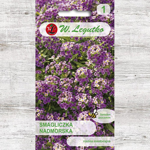 1 pac, Alyssum violet Legutko - Semințe: Mod de ambalare: 0.5 g