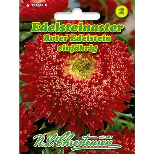 Astra čínska Roter Edelstein - : Monžstvo balíkov: 1 ob