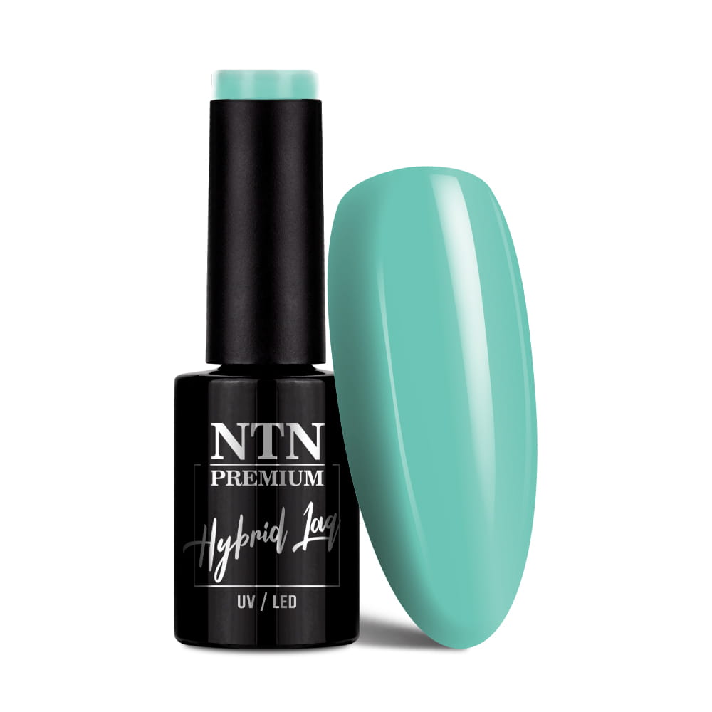 Lakier hybrydowy LED/UV Gel Polish NTN Premium Soft Touch Collection Nr 08 5 g