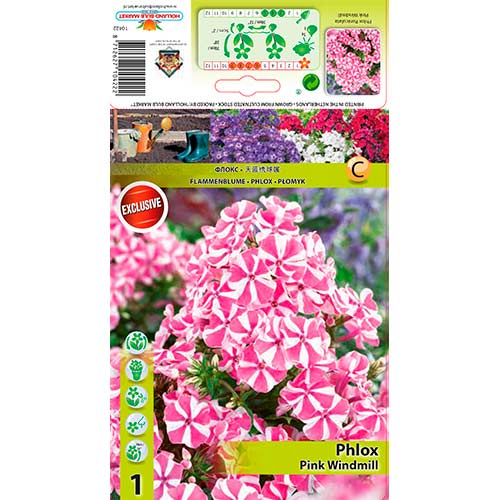 1 szt, Płomyk Pink Windmill - Byliny: Ilość w opakowaniu: 1 szt.