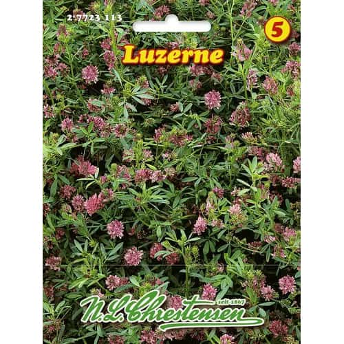 Lucerna siewna - Nasiona: Ilość w opakowaniu: 1 opak - GradinaMax
