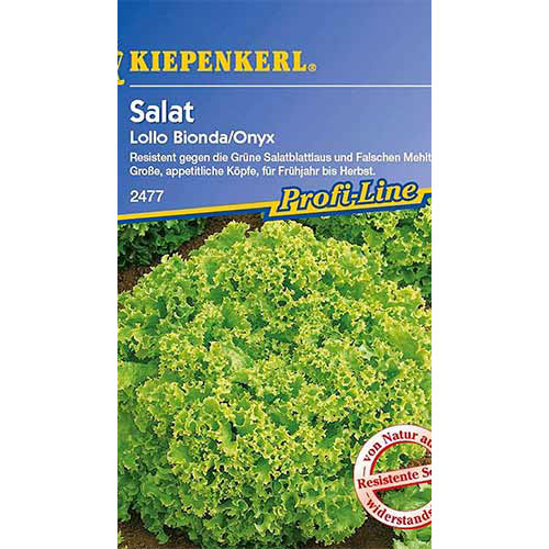 1 pac, Salată Lollo Bionda Kiepenkerl - Semințe: Mod de ambalare: 1 pac