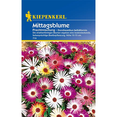 1 szt, Mittagsblume Prachtmischung - Samen: Ilość w opakowaniu: 1 Stück