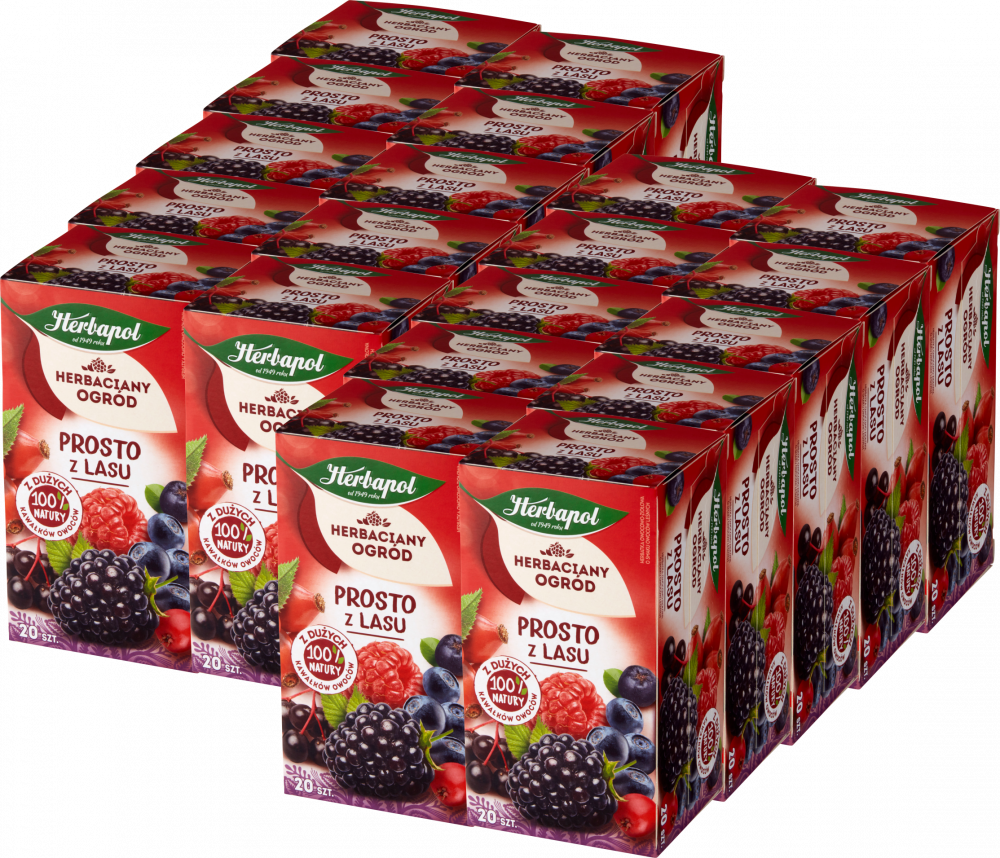 20x Herbata owocowa w torebkach Herbapol Herbaciany Ogród Prosto z lasu, owoce leśne, 20 sztuk x 2,5g