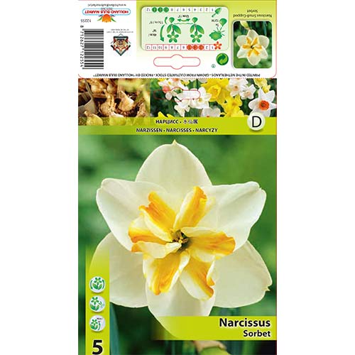 5 buc, Narcise Sorbet - Bulbi: Mod de ambalare: 5 buc