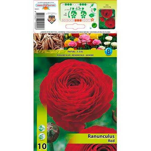 10 buc, Ranunculus Red - Bulbi: Mod de ambalare: 10 buc