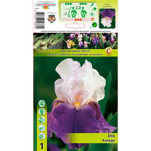 1 buc, Iris germanica (Stânjenel) Arpege - Bulbi: Mod de ambalare: 1 buc