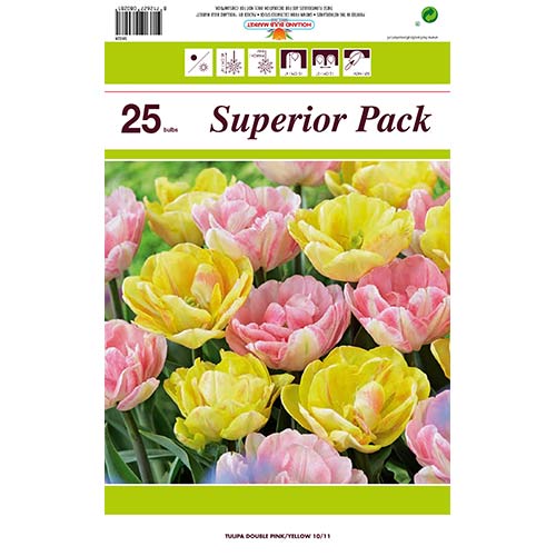 25 kus, Super nabídka! Sada tulipánů z 2 odrůd - : Monžstvo balíkov: 25 kus