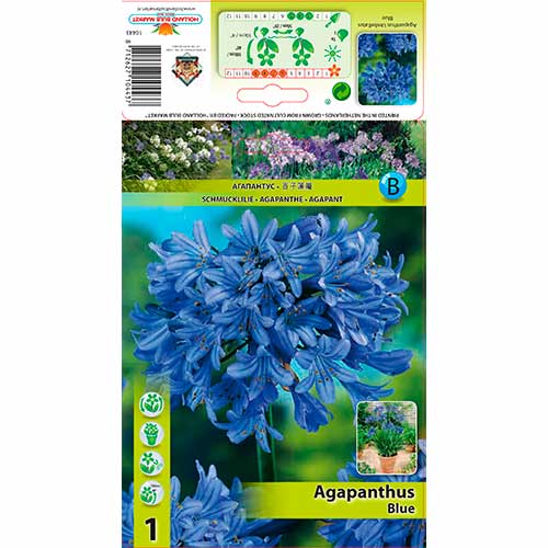 1 cib, Kalokvět Blue - : Monžstvo balíkov: 1 cib