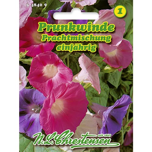 1 ob, Povojnice purpurová, směs - : Monžstvo balíkov: 1 ob